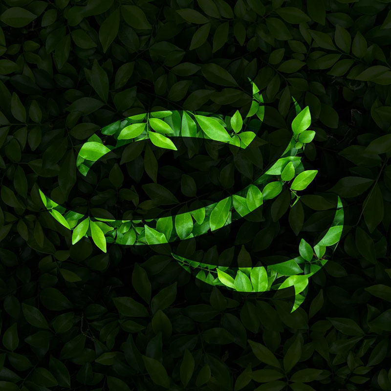 Prototal Logo on green leafs